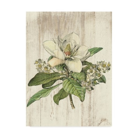Sue Schlabach 'Magnolia De Printemps No Words' Canvas Art,18x24